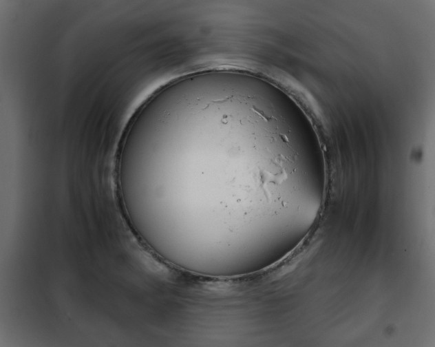 X0000102341182200808081124