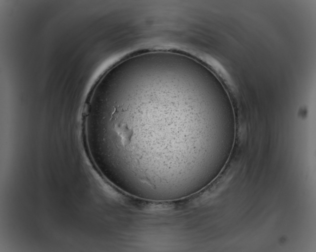 X0000102341183200808081124