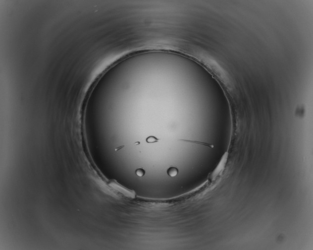 X0000102341184200808081124