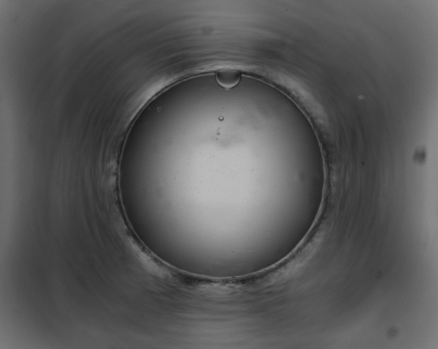 X0000102341185200808081124