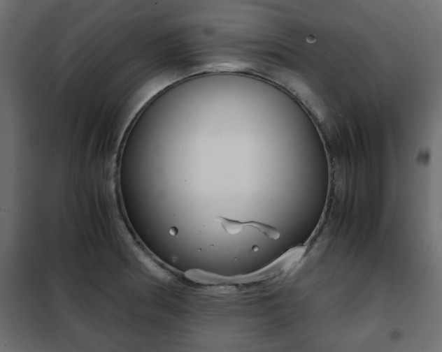 X0000102341186200808081124