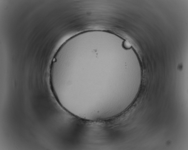 X0000102341187200808081124