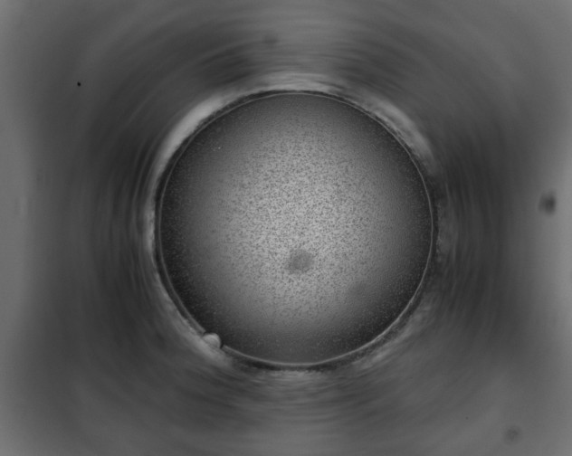 X0000102341188200808081124