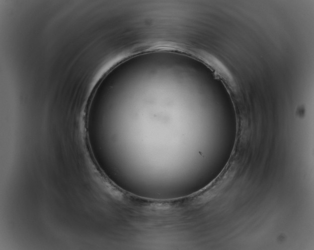 X0000102341190200808081123