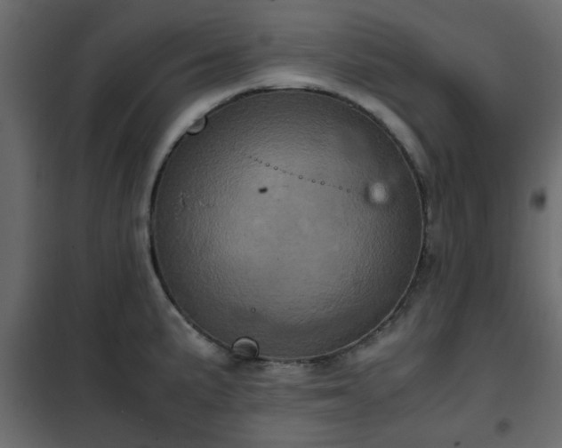 X0000102341191200808081123