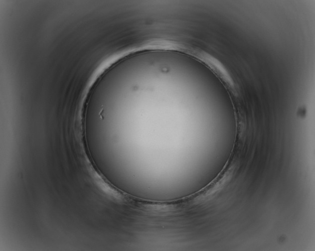 X0000102341192200808081123