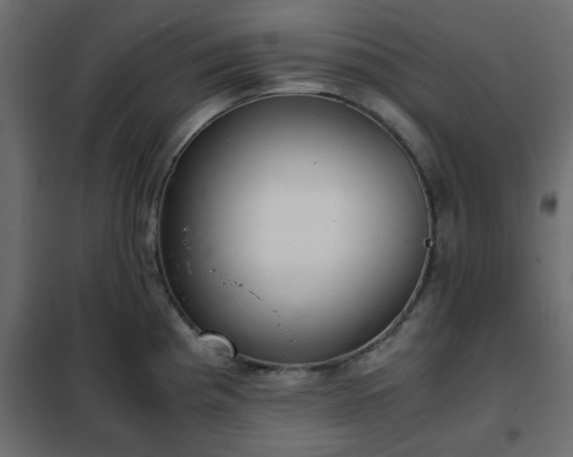 X0000102341193200808081123