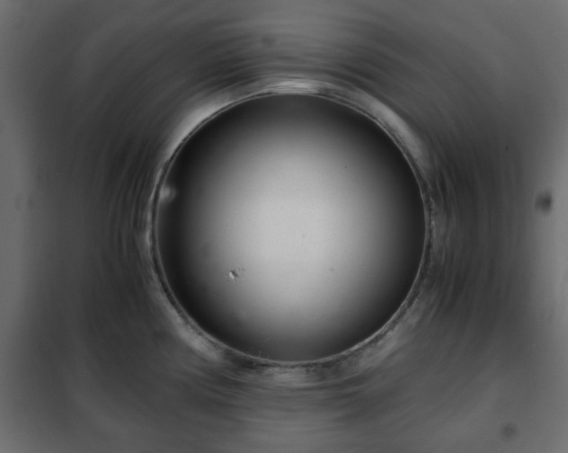 X0000102341194200808081123