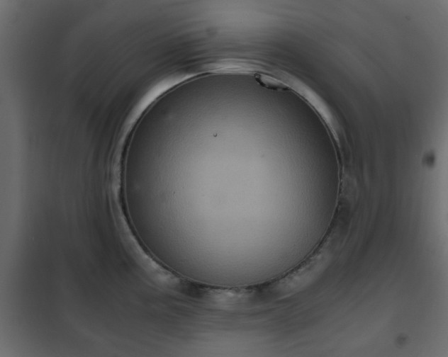 X0000102341195200808081123