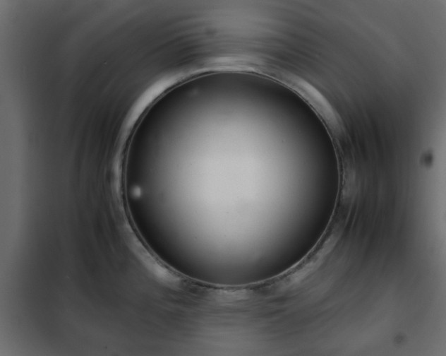 X0000102341196200808081123