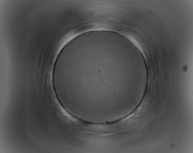 X0000102341197200808081123