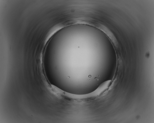 X0000102341198200808081123