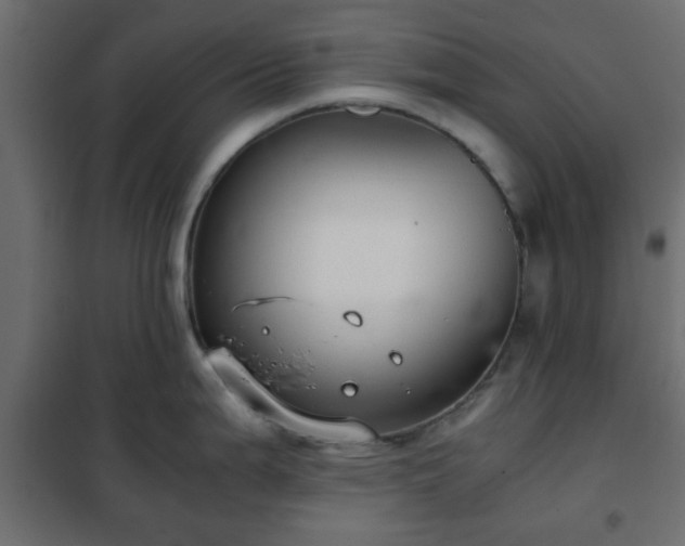 X0000102341199200808081123