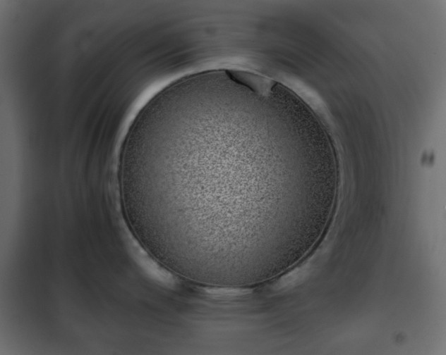 X0000102341200200808081123