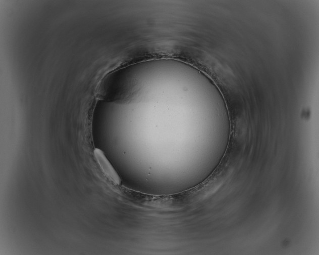 X0000102341201200808081123