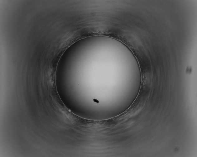 X0000102341202200808081123