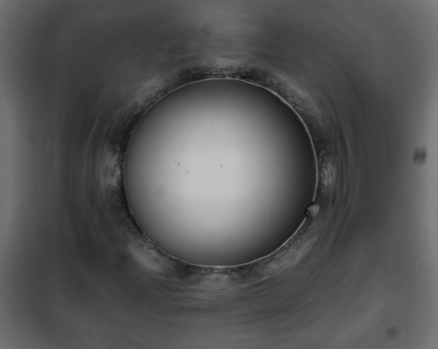 X0000102341204200808081123