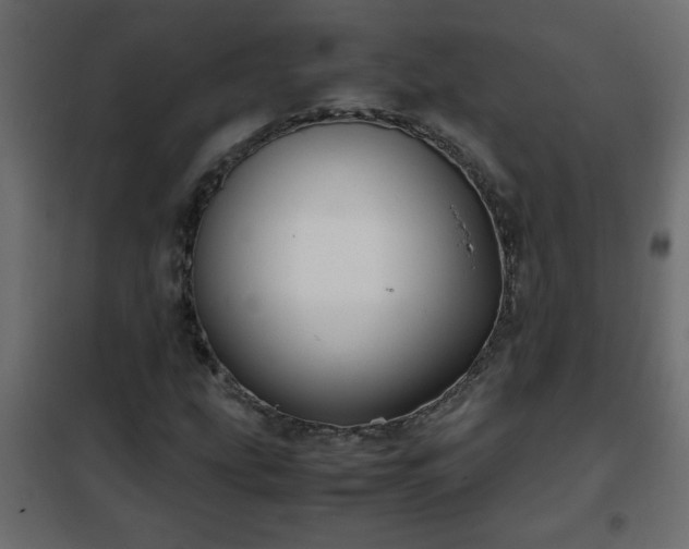 X0000102341207200808081123