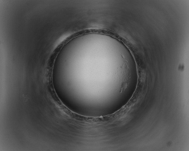 X0000102341208200808081123