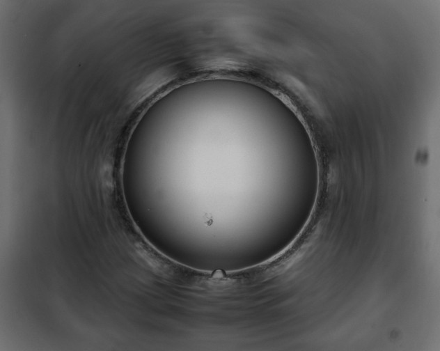 X0000102341209200808081123