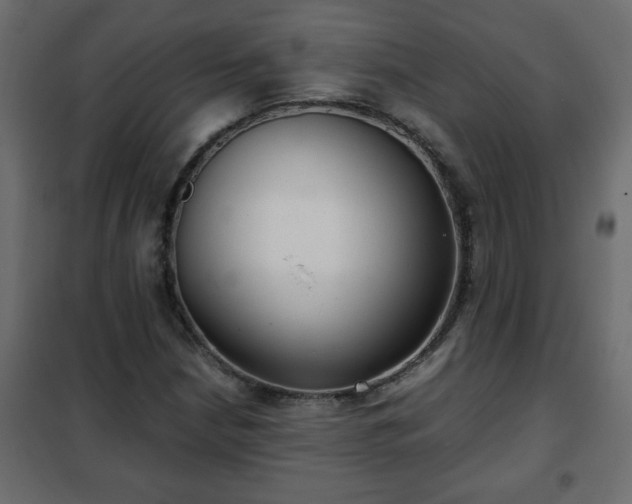 X0000102341210200808081123