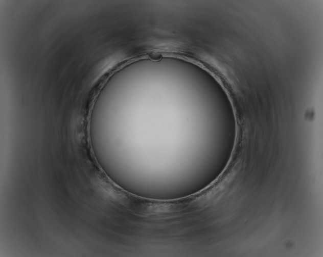 X0000102341211200808081123