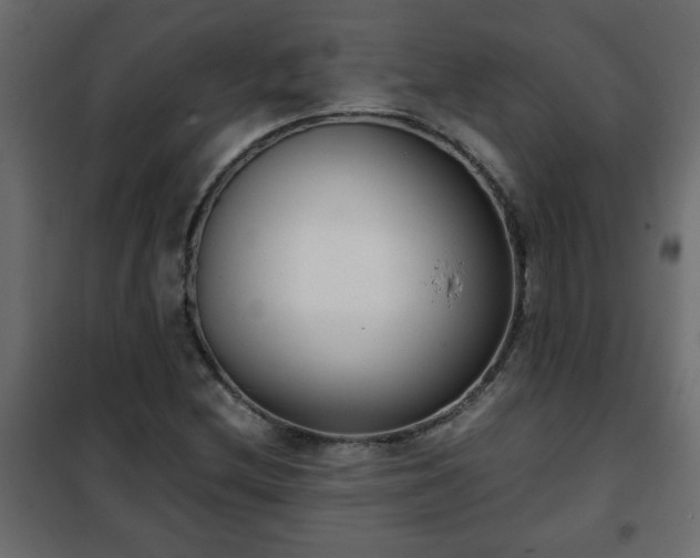 X0000102341212200808081123