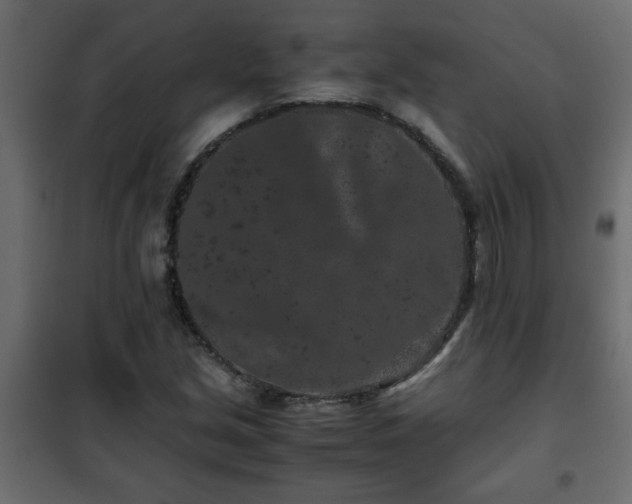 X0000102341213200808081123