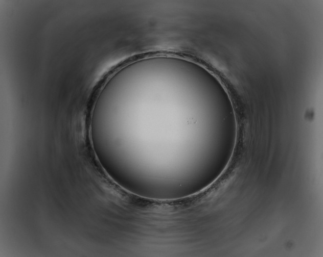 X0000102341214200808081123