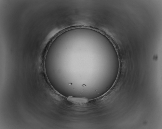 X0000102341215200808081123