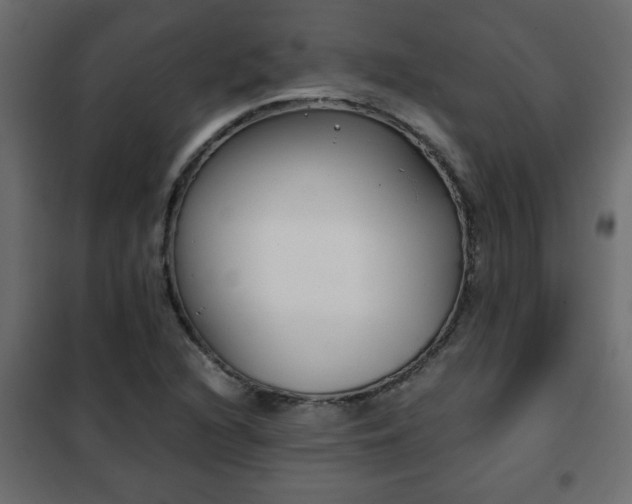 X0000102341216200808081123