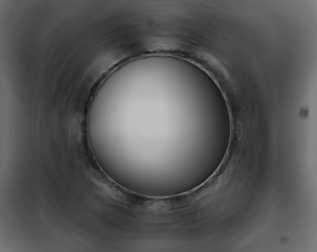 X0000102341217200808081123