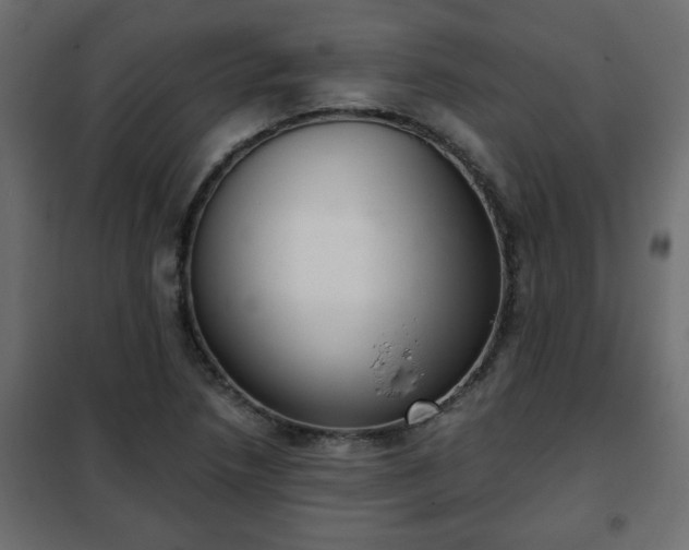 X0000102341218200808081123