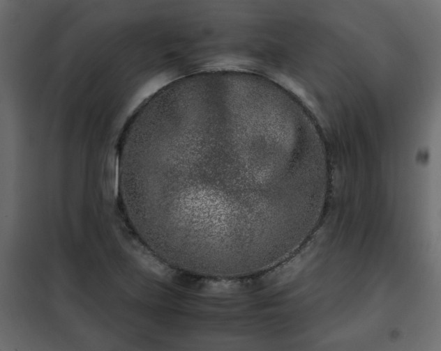 X0000102341219200808081123