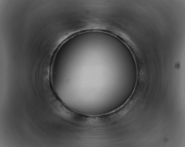 X0000102341220200808081123