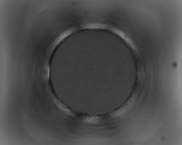 X0000102341221200808081123