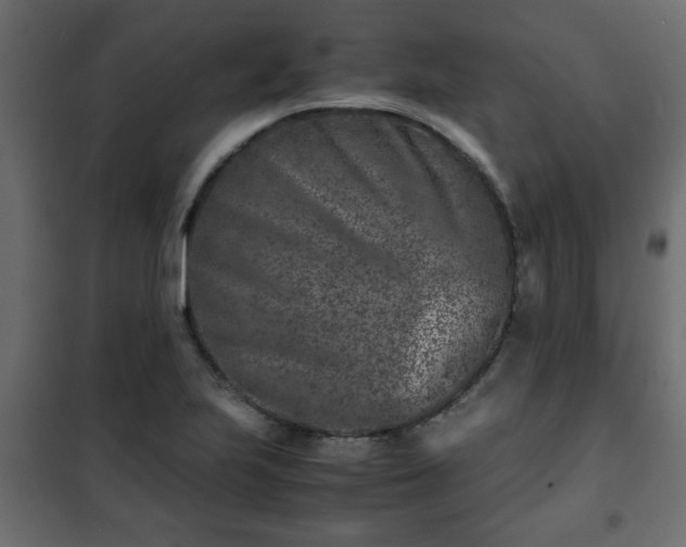 X0000102341223200808081123