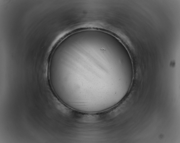 X0000102341224200808081123