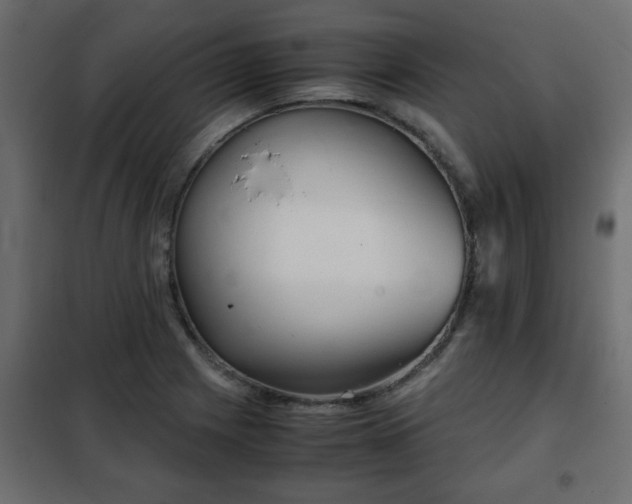 X0000102341225200808081123