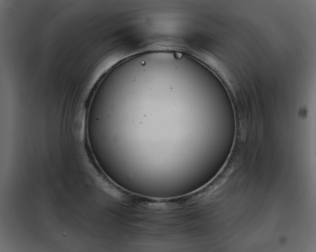 X0000102341227200808081123