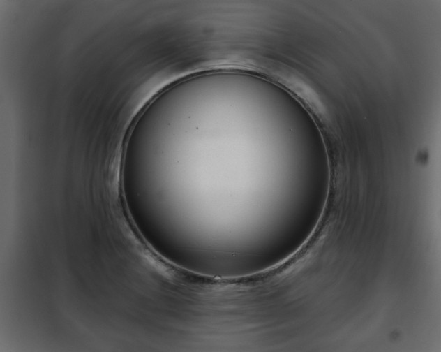 X0000102341228200808081123