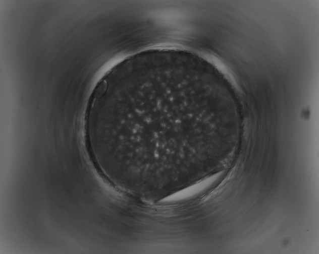 X0000102341229200808081123