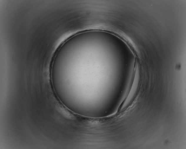 X0000102341230200808081123