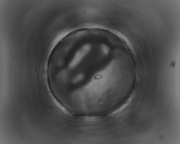 X0000102341231200808081123