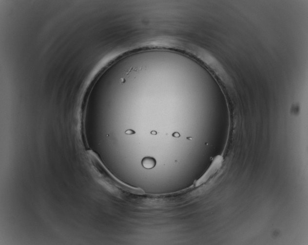 X0000102341232200808081123