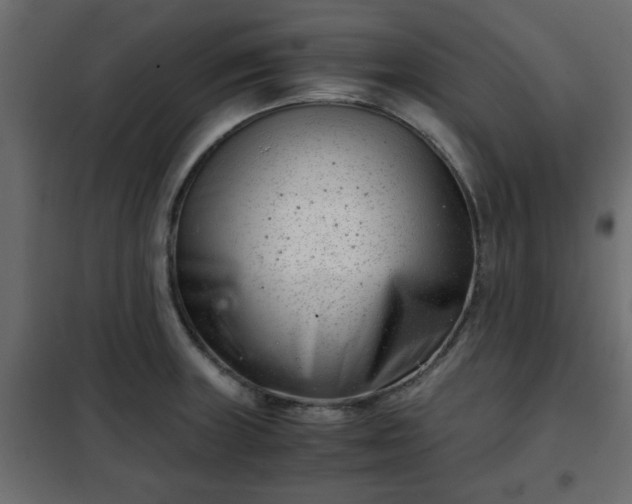 X0000102341235200808081123