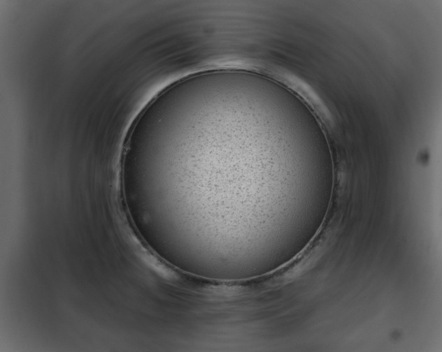 X0000102341236200808081123