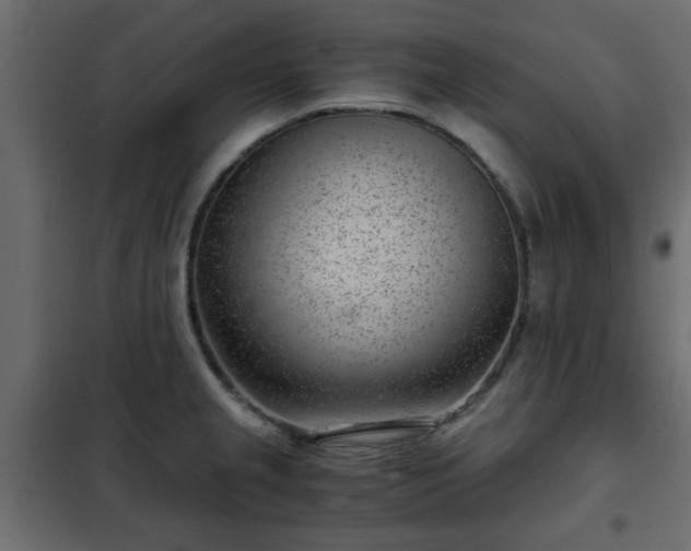 X0000102341237200808081123