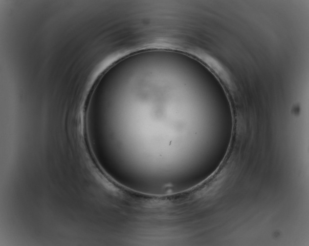 X0000102341238200808081123