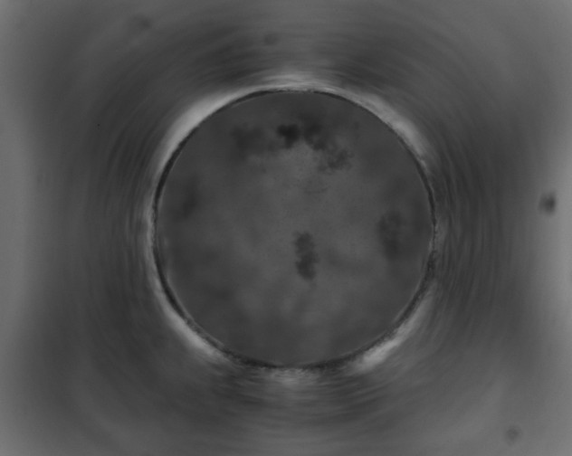 X0000102341239200808081123